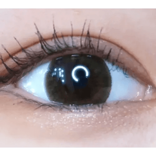 LensVery Sydney Brown (10p) — single-eye close-up showing the contact lens appearance