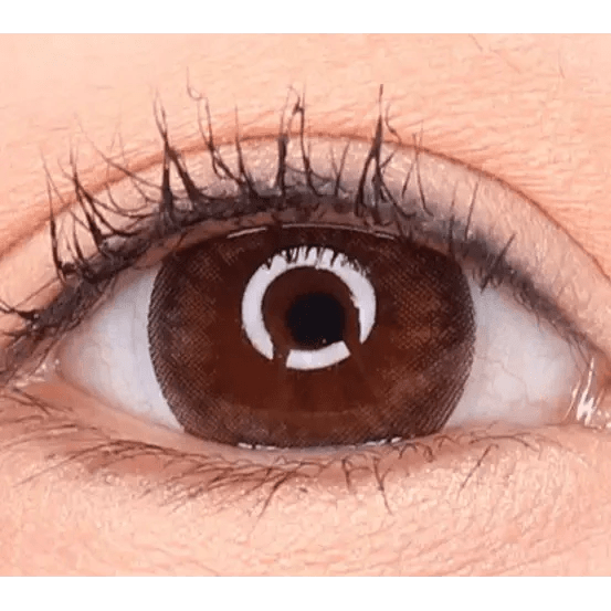LensVery Sydney Brown (10p) — single-eye close-up showing the contact lens appearance