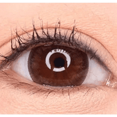 LensVery Sydney Brown (10p) — single-eye close-up showing the contact lens appearance
