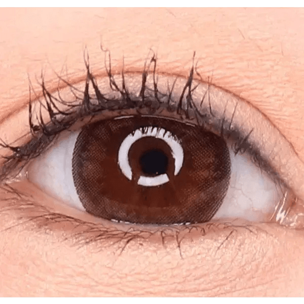 LensVery Sydney Brown (10p) — single-eye close-up showing the contact lens appearance