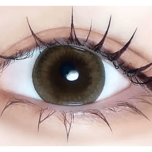 LensVery Sydney Brown (10p) — single-eye close-up showing the contact lens appearance