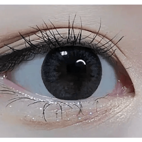 LensVery Sydney Gray (10p) — single-eye close-up showing the contact lens appearance