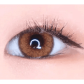 LensVery Venti Ann Brown — single-eye close-up showing the contact lens appearance