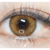 LensVery Venti Ann Brown — single-eye close-up showing the contact lens appearance