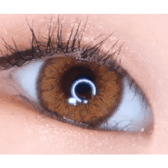 LensVery Venti Ann Brown — single-eye close-up showing the contact lens appearance