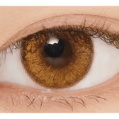 LensVery Venti Ann Brown — single-eye close-up showing the contact lens appearance