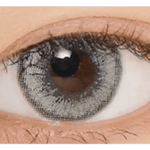 LensVery Venti Ann Gray — single-eye close-up showing the contact lens appearance