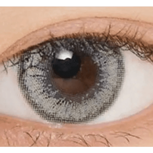 LensVery Venti Ann Gray — single-eye close-up showing the contact lens appearance