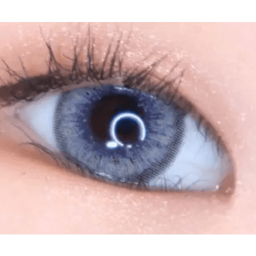 LensVery Venti Ann Gray — single-eye close-up showing the contact lens appearance