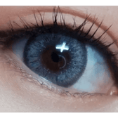 LensVery Venti Ann Gray — single-eye close-up showing the contact lens appearance