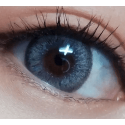 LensVery Venti Ann Gray — single-eye close-up showing the contact lens appearance