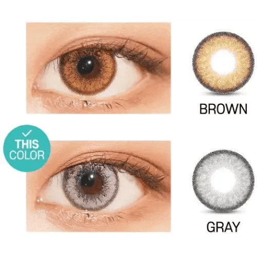LensVery Venti Ann Gray — contact lens appearance comparison