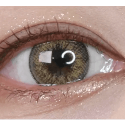 LensVery VeryTok Sunset Brown — single-eye close-up showing the contact lens appearance