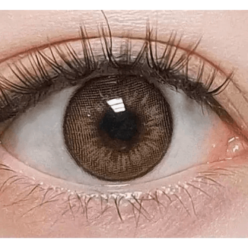 LensVery VeryTok Sunset Brown — single-eye close-up showing the contact lens appearance