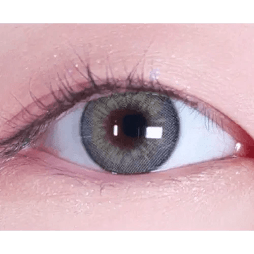 LensVery VeryTok Urban Gray — single-eye close-up showing the contact lens appearance