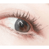 LensVery Wish Ring 1Day Olive Green (10p) colored contact lens, 13.1mm graphic diameter, Daily wear