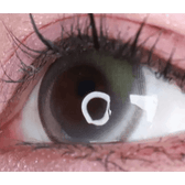 LensVery Wish Ring 1Day Olive Green (10p) colored contact lens, 13.1mm graphic diameter, Daily wear