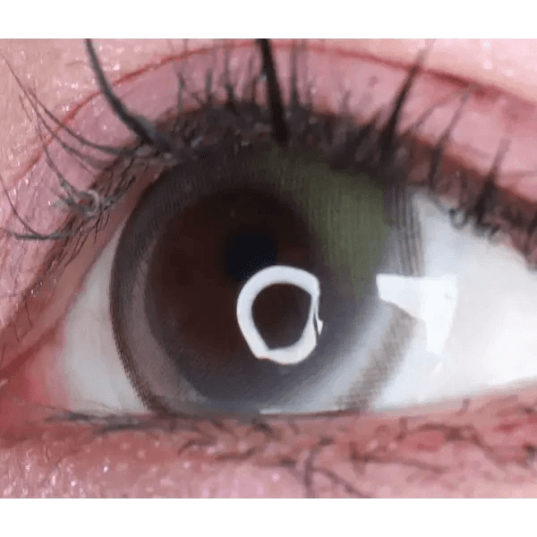 LensVery Wish Ring 1Day Olive Green (10p) colored contact lens, 13.1mm graphic diameter, Daily wear