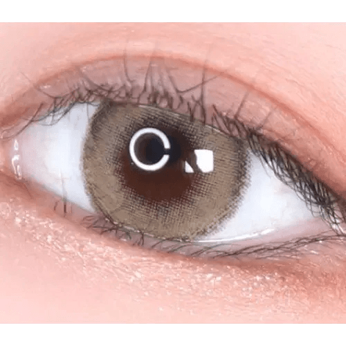 LensVery Wonder Eye Circle Brown — single-eye close-up showing the contact lens appearance
