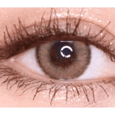 LensVery Wonder Eye Circle Brown — single-eye close-up showing the contact lens appearance