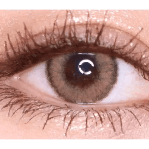 LensVery Wonder Eye Circle Brown — single-eye close-up showing the contact lens appearance