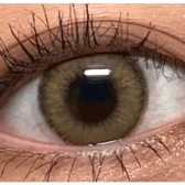 LensVery Wonder Eye Circle Brown — single-eye close-up showing the contact lens appearance