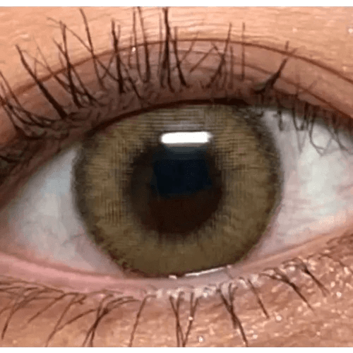 LensVery Wonder Eye Circle Brown — single-eye close-up showing the contact lens appearance