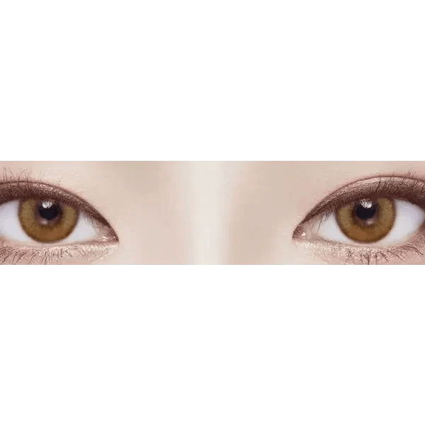 LensVery Wonder Eye Circle Brown — both eyes wearing the contact lenses