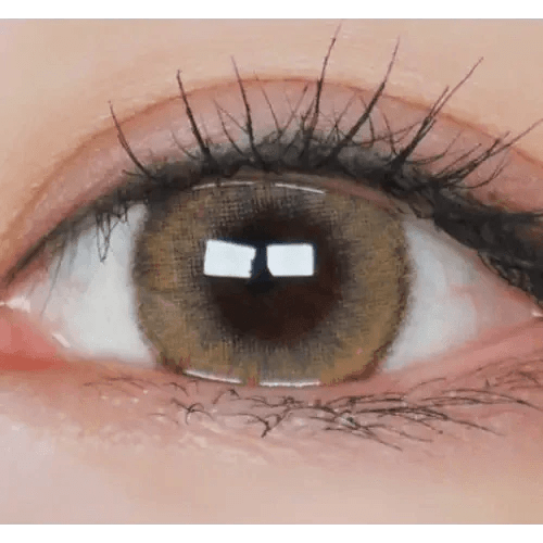LensVery Wonder Eye Circle Brown — single-eye close-up showing the contact lens appearance