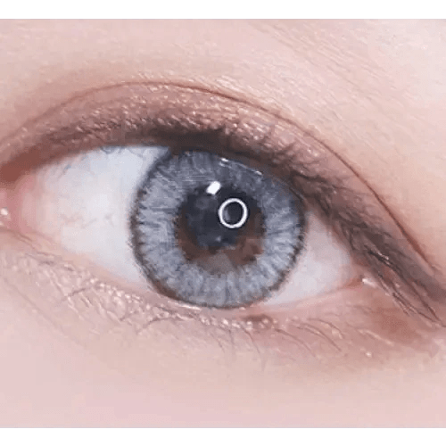 LensVery Wonder Eye Circle Gray — single-eye close-up showing the contact lens appearance