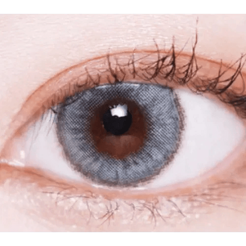 LensVery Wonder Eye Circle Gray — single-eye close-up showing the contact lens appearance