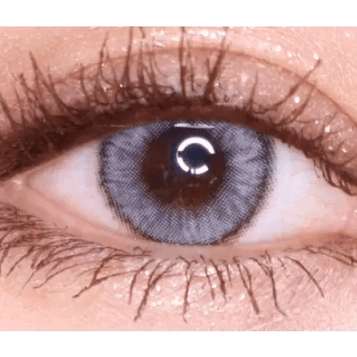 LensVery Wonder Eye Circle Gray — single-eye close-up showing the contact lens appearance