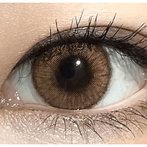 LensVery Wonder Eye Circle Hazel — single-eye close-up showing the contact lens appearance