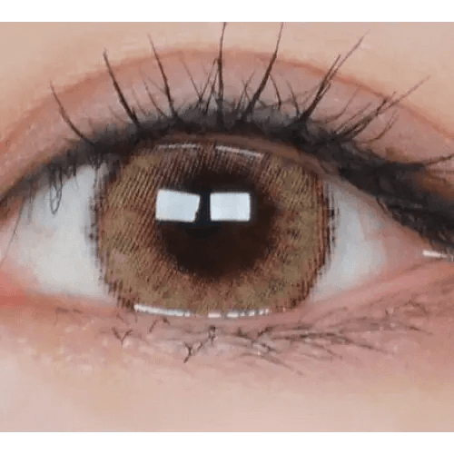 LensVery Wonder Eye Circle Hazel — single-eye close-up showing the contact lens appearance