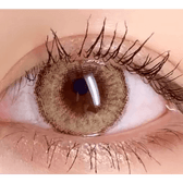 LensVery Wonder Eye Circle Hazel — single-eye close-up showing the contact lens appearance