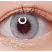 LensVery Wonder Eye Deep Gray — single-eye close-up showing the contact lens appearance