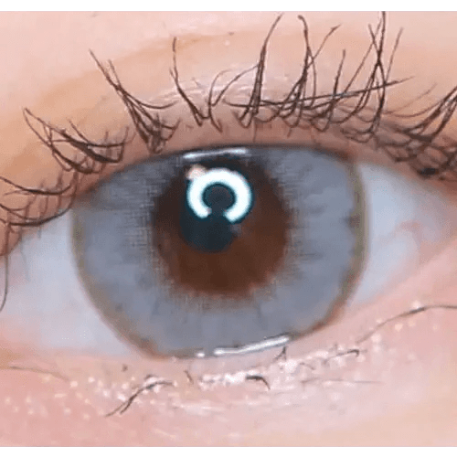 LensVery Wonder Eye Gray (10p) — single-eye close-up showing the contact lens appearance
