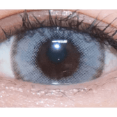 LensVery Wonder Eye Gray (10p) — single-eye close-up showing the contact lens appearance