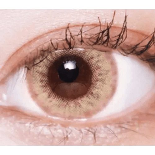 LensVery Wonder Eye Hazel — single-eye close-up showing the contact lens appearance