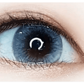 LensVery Wonder Eye Light Gray — single-eye close-up showing the contact lens appearance