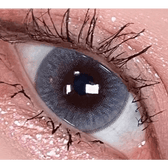 LensVery Wonder Eye Light Gray — single-eye close-up showing the contact lens appearance