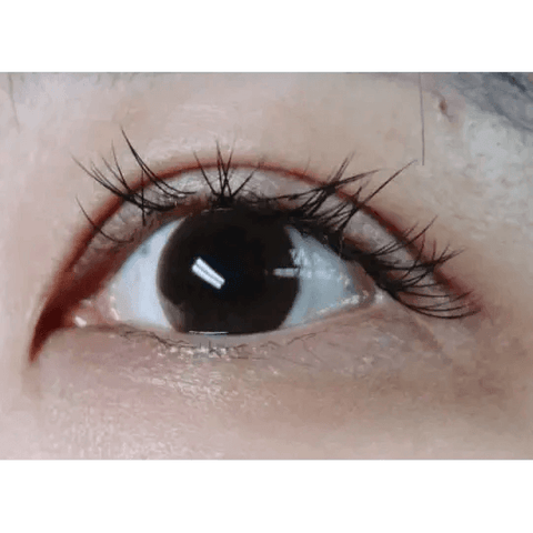Lighly Basic Brown 13mm