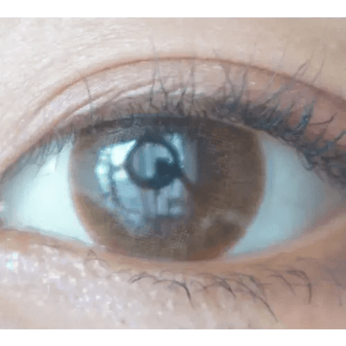 LensTown Lighly Classic Light Brown (20p) — single-eye close-up showing the contact lens appearance