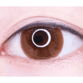 LensTown Lighly Classic Light Brown (20p) — single-eye close-up showing the contact lens appearance
