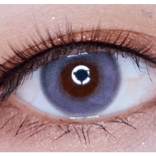 LensTown Lighly Mellow Gray (20p) — single-eye close-up showing the contact lens appearance
