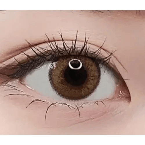 LensRang Mad Eye Brown — single-eye close-up showing the contact lens appearance