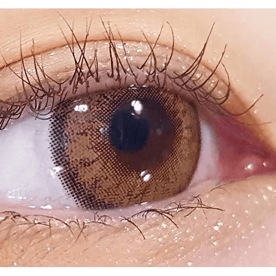 LensRang Mad Eye Brown — single-eye close-up showing the contact lens appearance