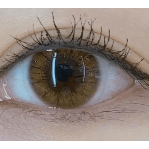 Olens Maybe Brown — single-eye close-up showing the contact lens appearance