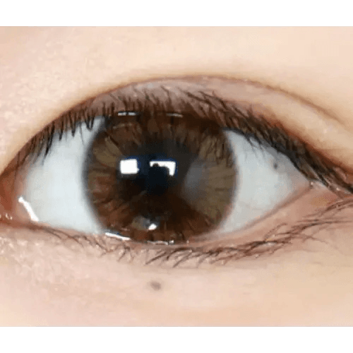 Olens Maybe Brown — single-eye close-up showing the contact lens appearance