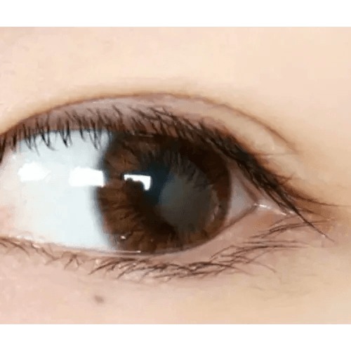Olens Maybe Brown — single-eye close-up showing the contact lens appearance